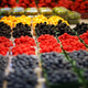 Image for article titled Complementary Colors 2
